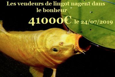 Nos prestations sur le secteur de Lyon et Rhône Alpes Auvergne